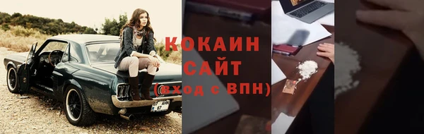 винт Абаза