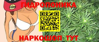 мдпв Малоярославец