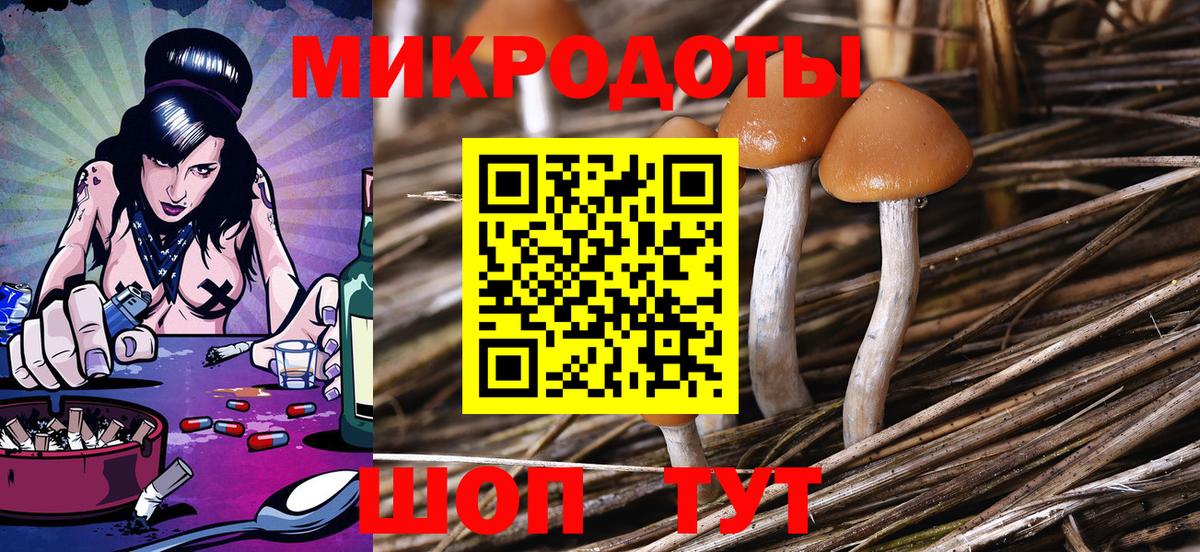 Галлюциногенные грибы Cubensis Карпинск