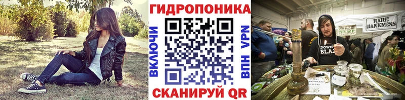 Конопля сатива  Карпинск 