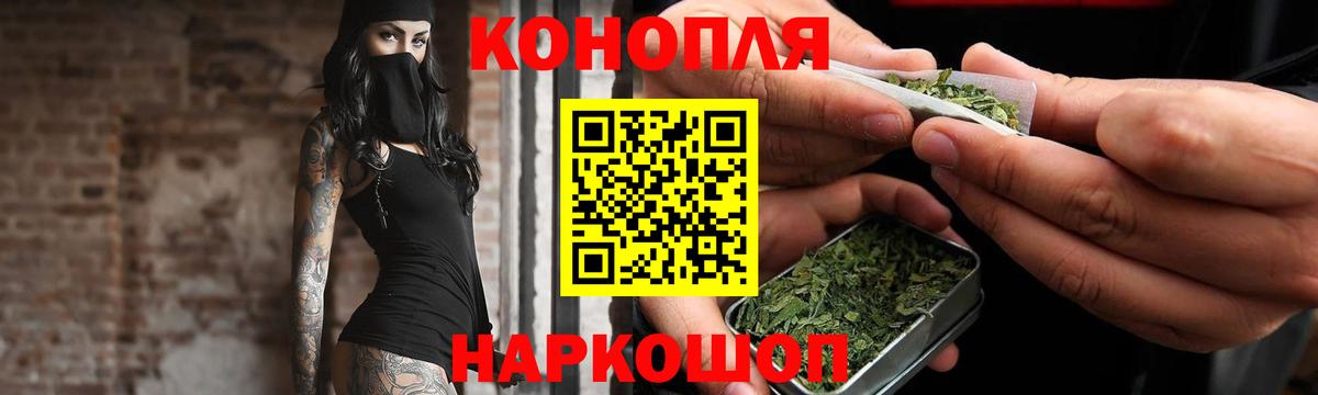 Конопля планчик Карпинск